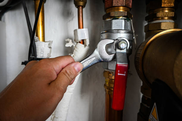 Best Local Plumber Services  in Cape Girardeau, MO
